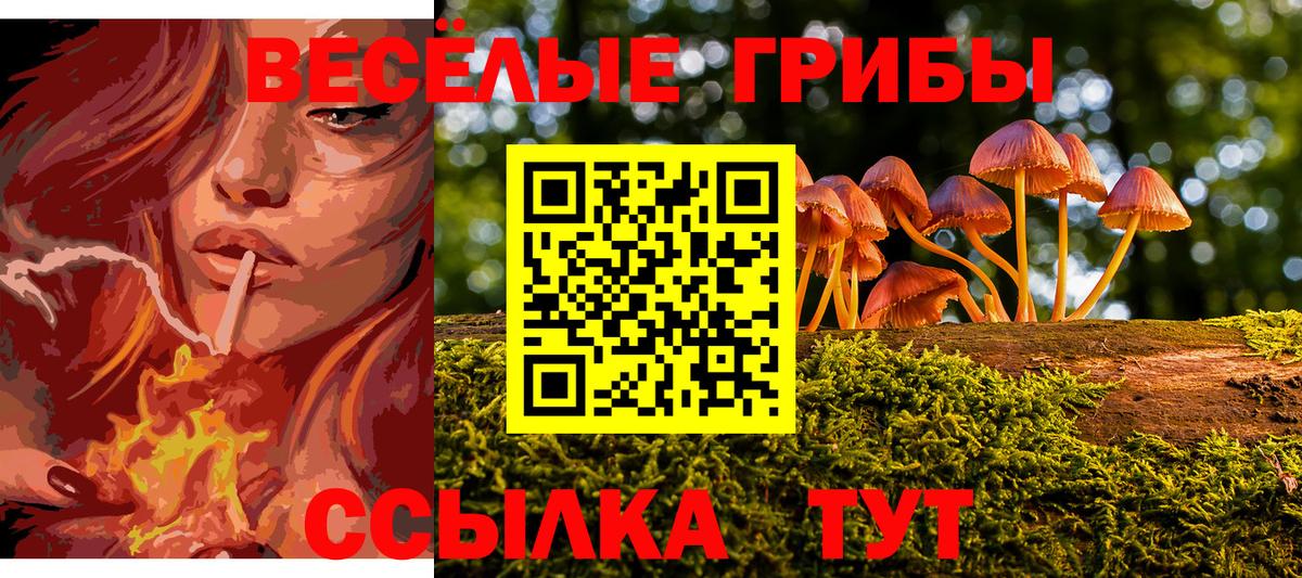 Галлюциногенные грибы прущие грибы Сланцы